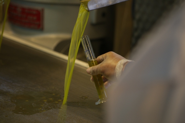 Separating the oliveoil from the Water and other Solids 